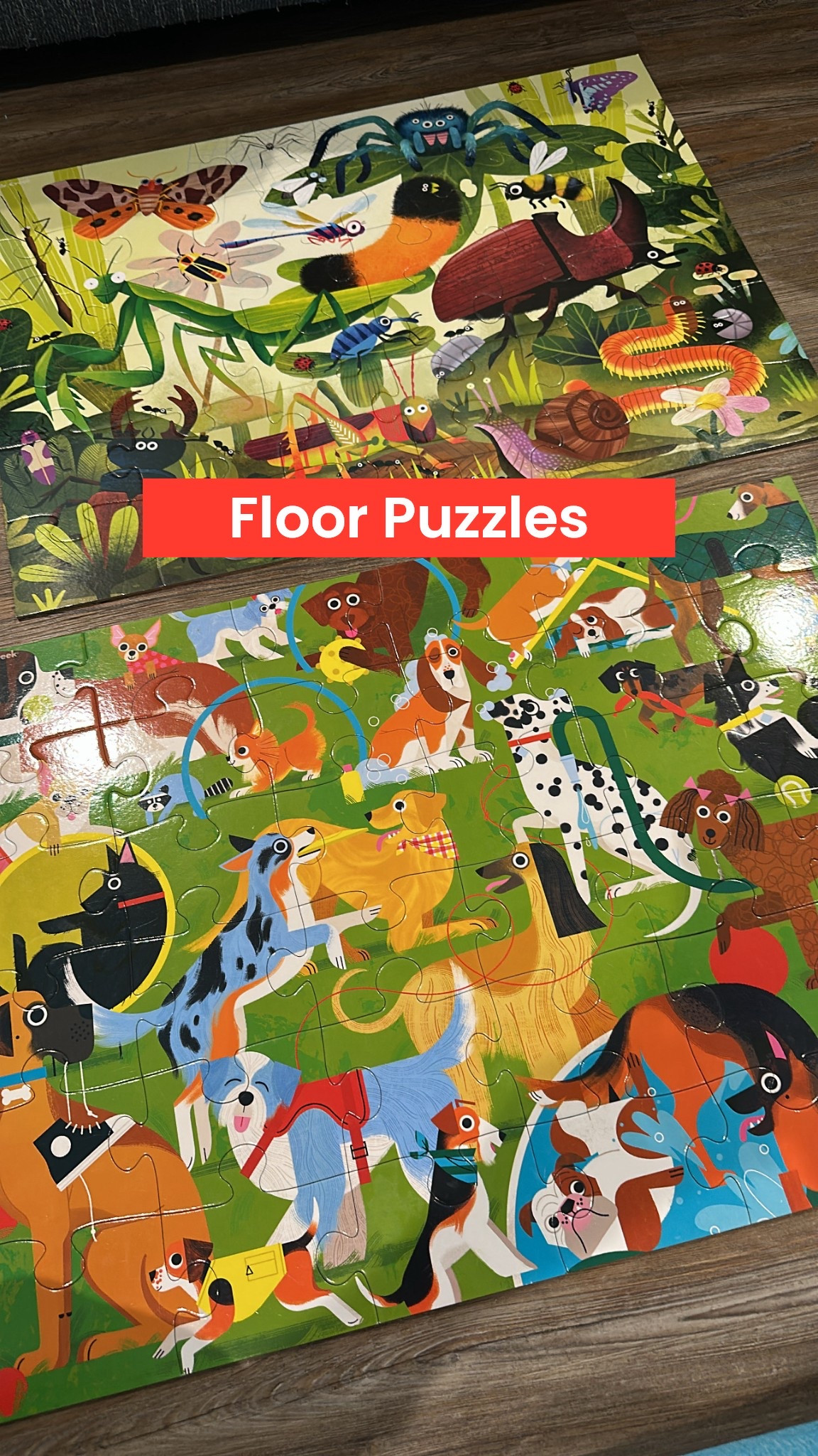 Our toddler loves a puzzle! and these floor puzzles are so fun and cute!!



#LTKKids #LTKFamily #LTKFindsUnder50