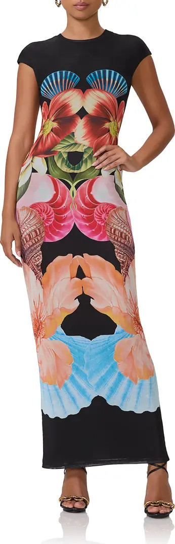 AFRM Cody Print Cap Sleeve Mesh Maxi Dress | Nordstrom | Nordstrom