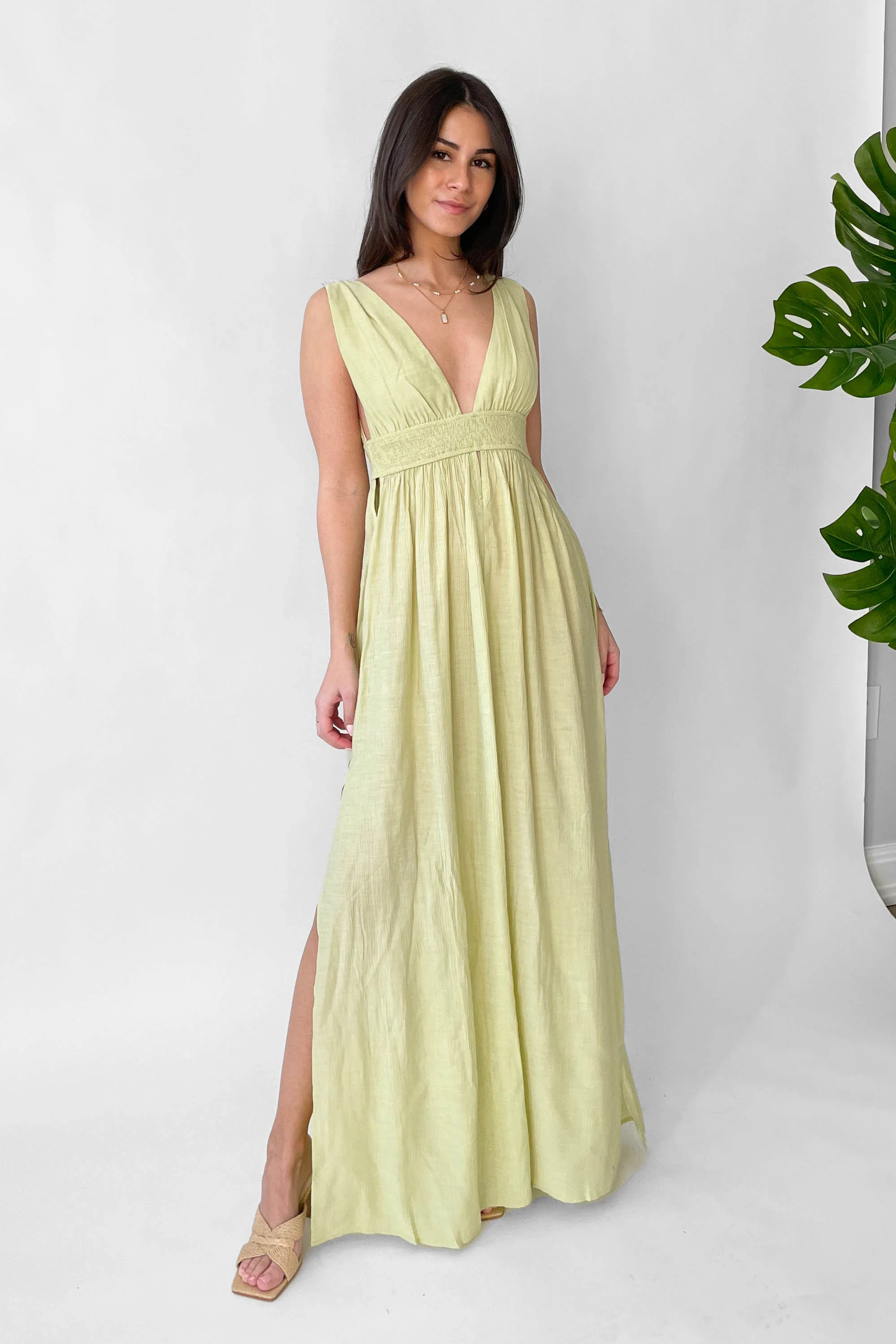 © Grey Bandit | Grey Bandit