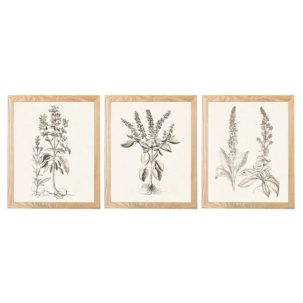 My Texas House - Sepia Besler Botanicals Framed Wall Art Print Set - 11x14 - Walmart.com | Walmart (US)