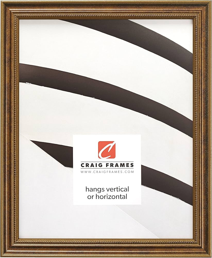 Craig Frames 314BR, Ornate Bronze Picture Frame, 18 x 24 Inch | Amazon (US)