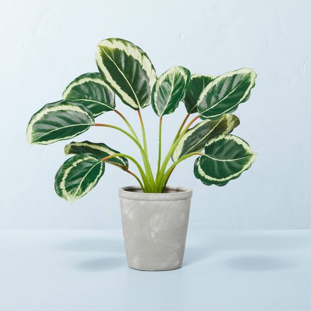 14" Faux Calathea Plant in Ceramic Pot - Hearth & Hand™ with Magnolia | Target