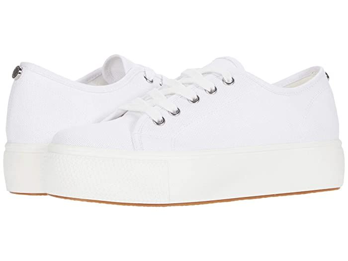 Steve Madden Elore Sneaker (White) Women's Shoes | Zappos