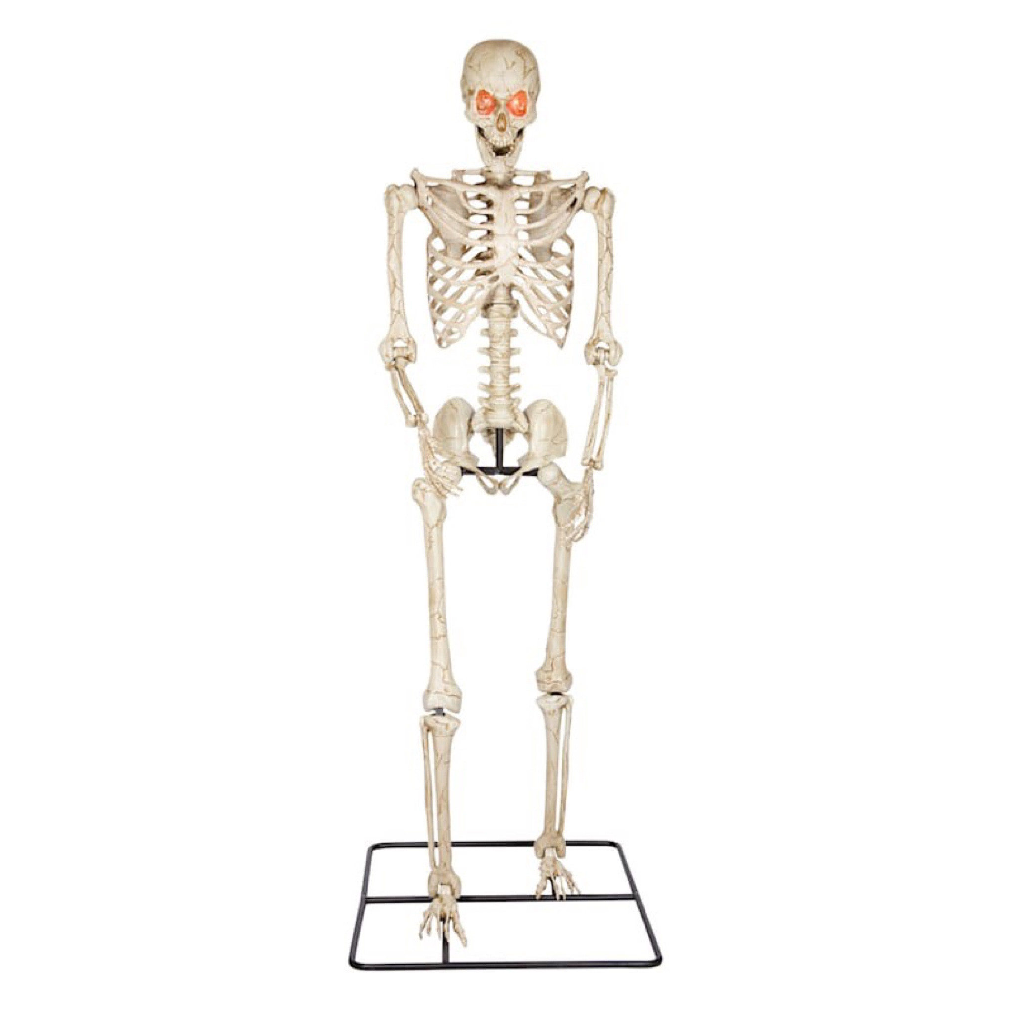 AtHome 10ft skeleton 

#LTKFind #LTKhome #LTKSeasonal