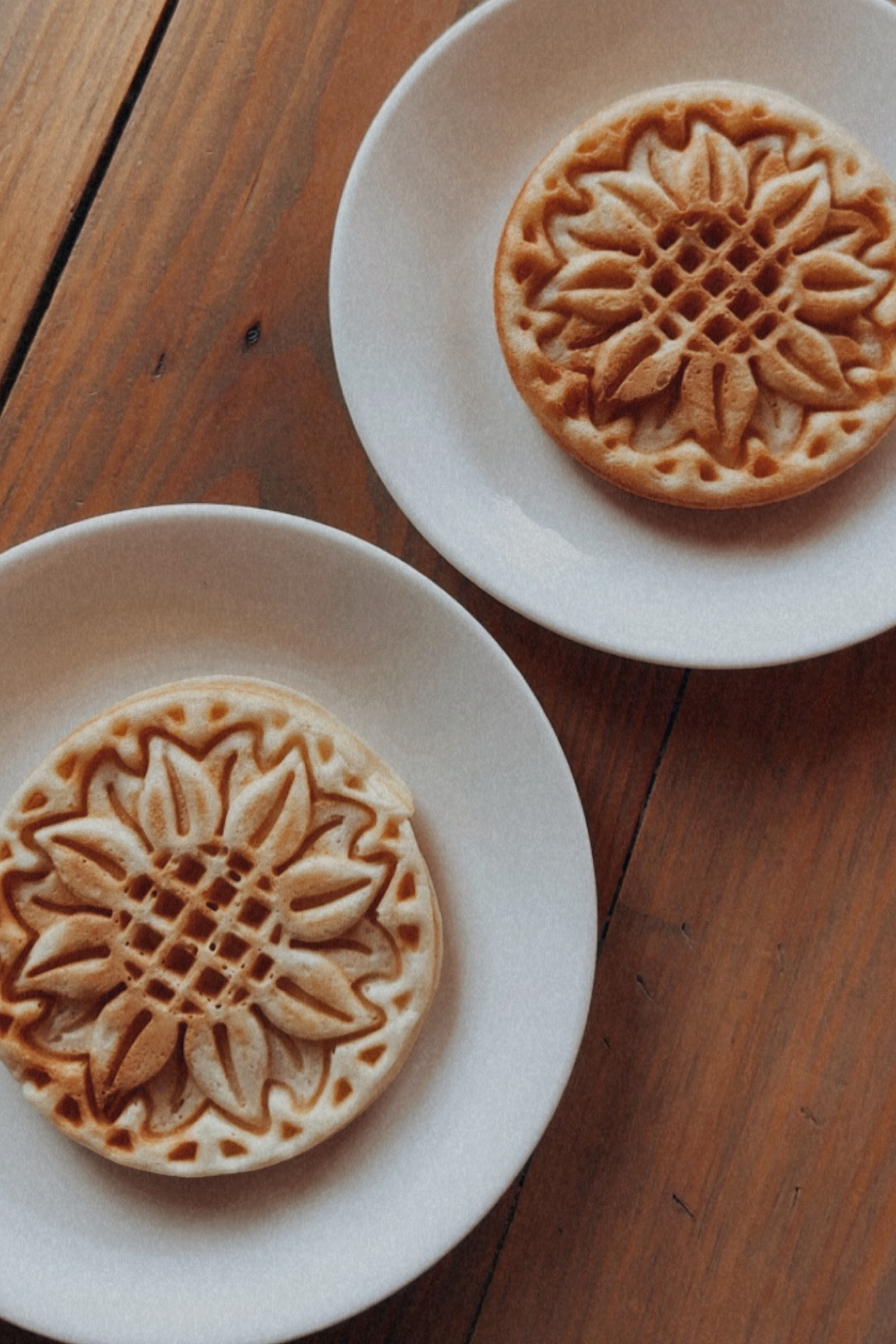 DASH mini multimaker! 🌻