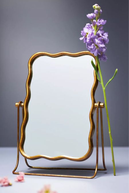 The most gorgeous vanity mirror 

#LTKfindsunder100 #LTKstyletip #LTKhome