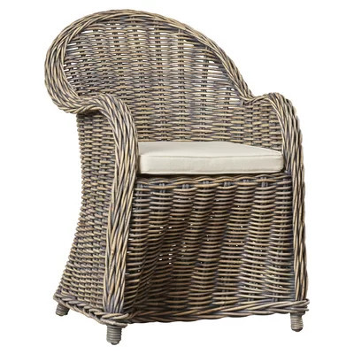 Hahn 24" Wide Cotton Armchair | Wayfair North America