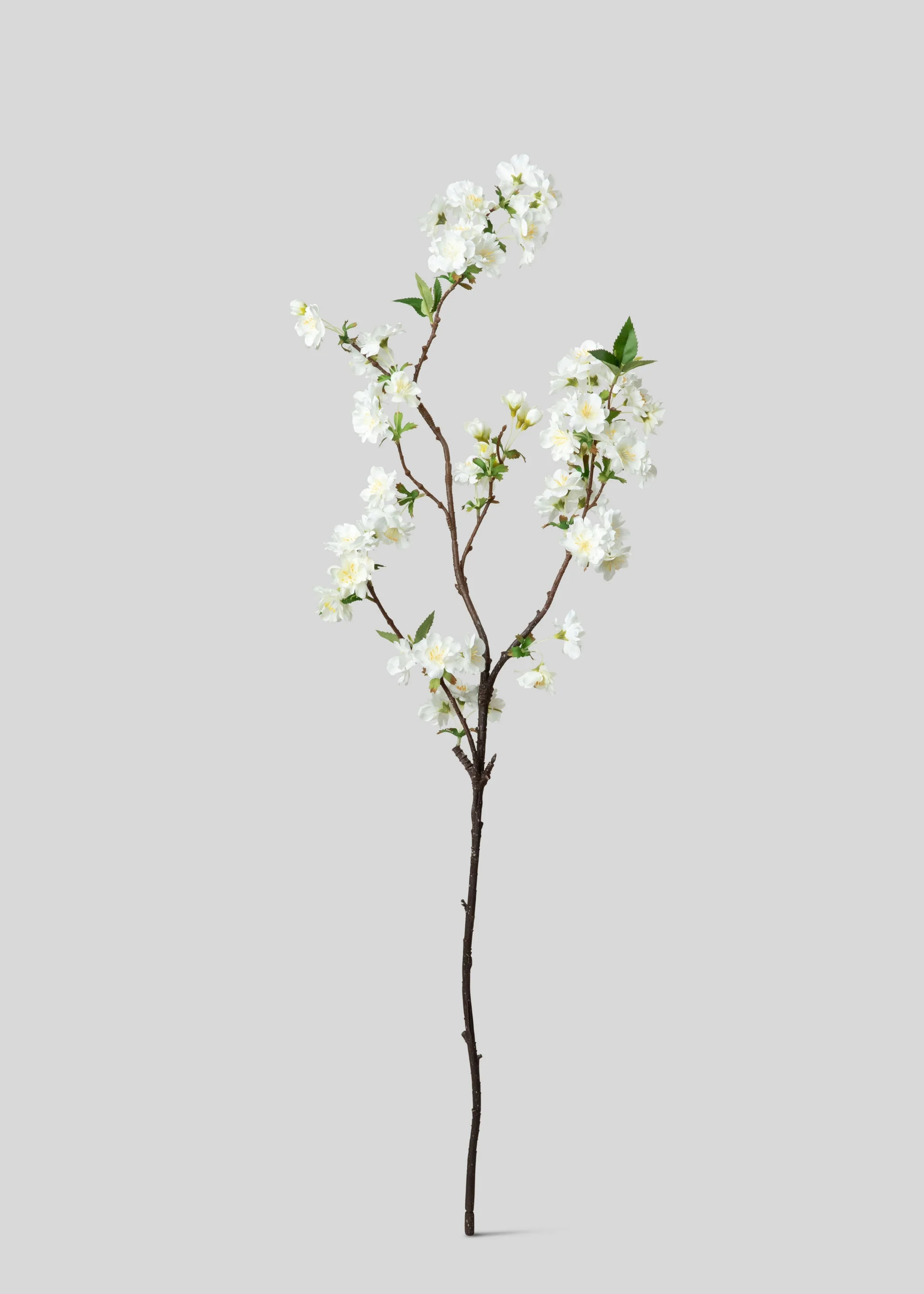 Cherry Blossom in Cream White | Artificial Spring Flowers | Afloral | Afloral