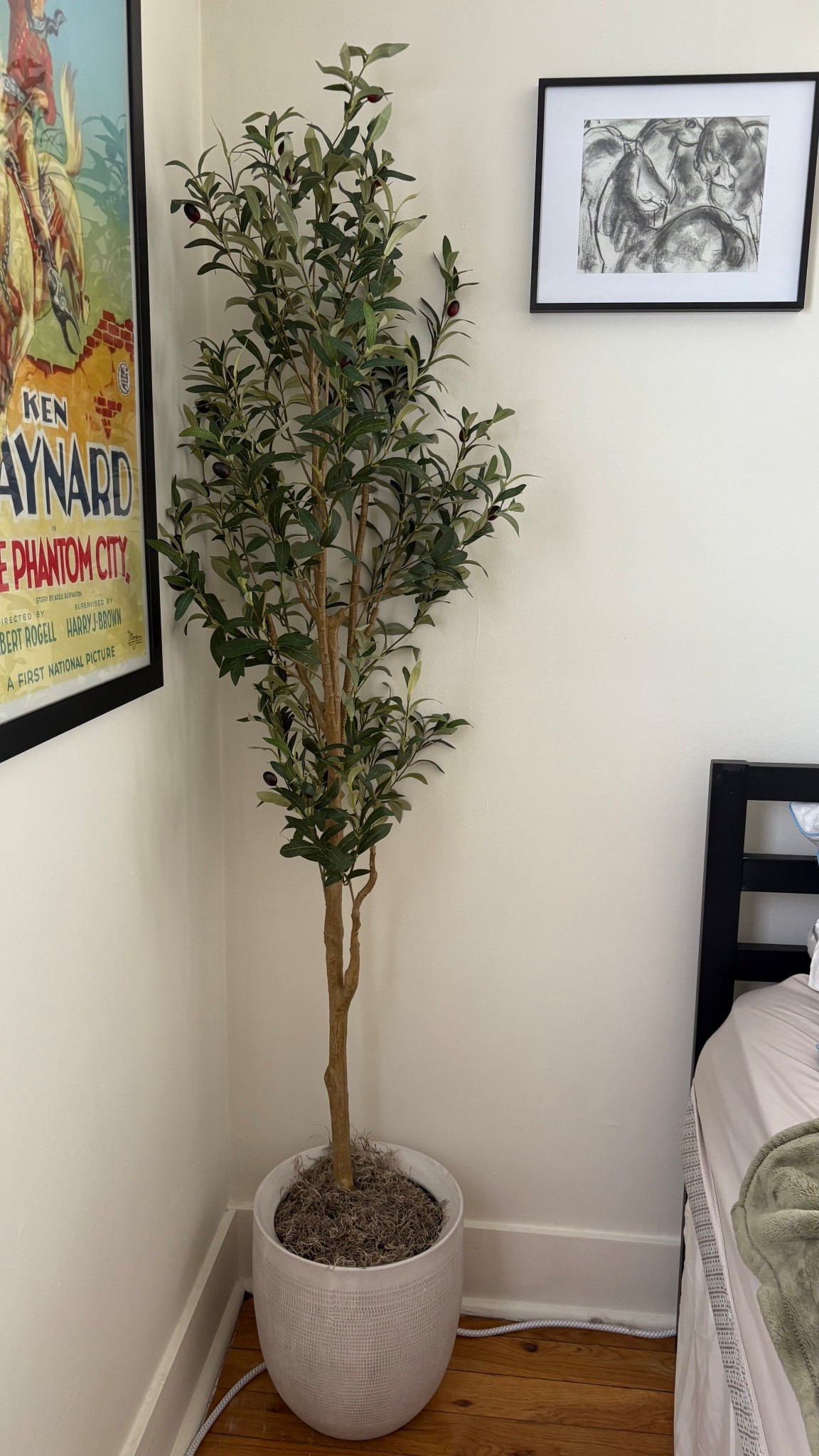 Olive tree from Amazon. Adds so much warmth into your space! 

#LTKHome #LTKFamily #LTKFindsUnder100