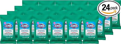 Clorox Disinfecting Wipes To Go Pack, Bleach Free, Fresh Scent, 9 Count, Pack of 24 (Pack May Var... | Amazon (US)