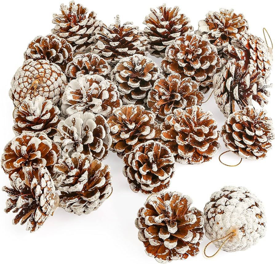 JOHOUSE 24PCS White Pine Cones, Snow PineCones Christmas Pine Cones Natural Pine Cones for Autumn... | Amazon (US)