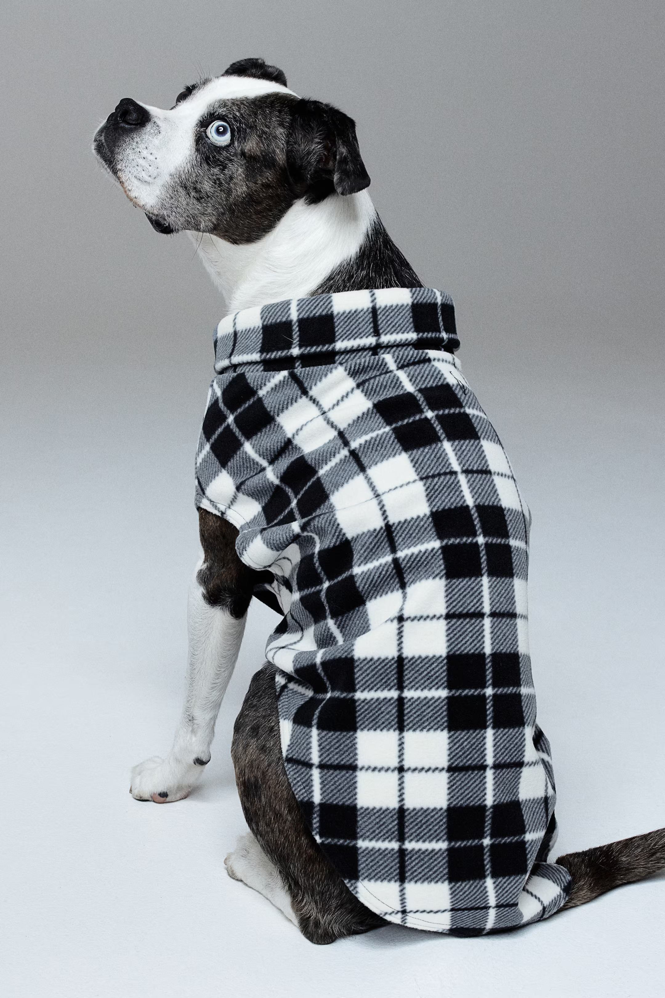 Hundepullover aus Fleece | H&M (DE, AT, CH, NL, FI)