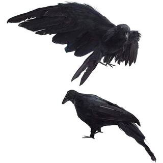 Realistic Crows Lifesize Extra Large Handmade Black Feathered Crow for Halloween Decorations Bird... | The Home Depot