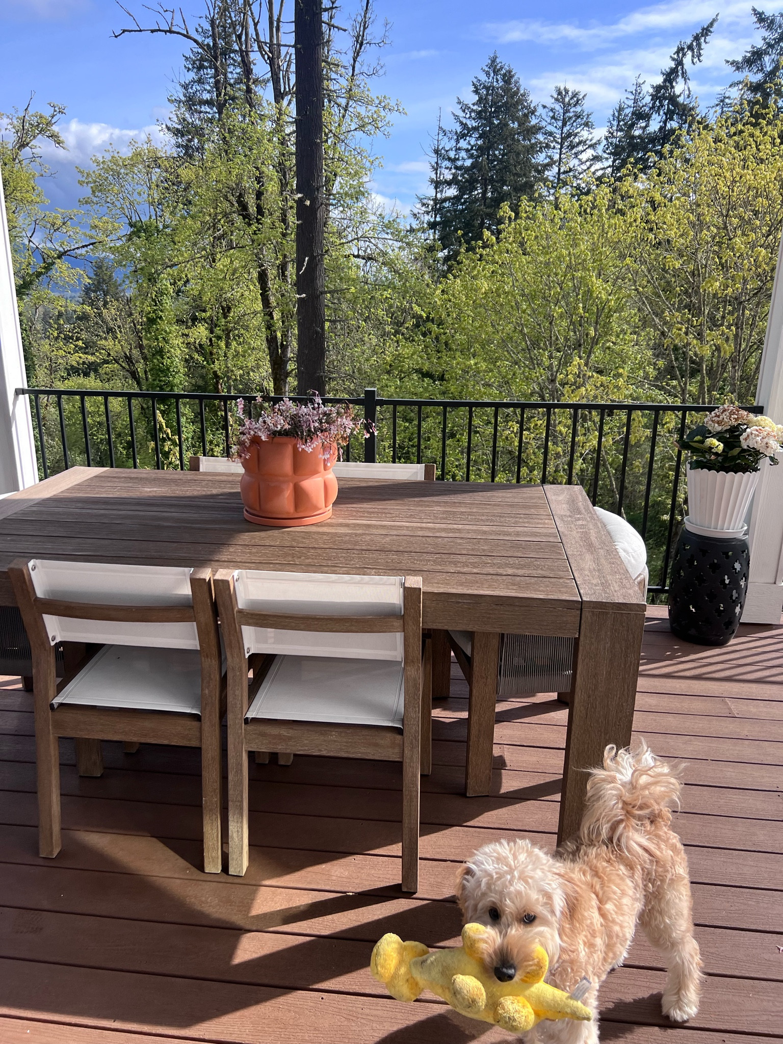 Got 2 new planters for the back patio 😍

#LTKhome #LTKSeasonal