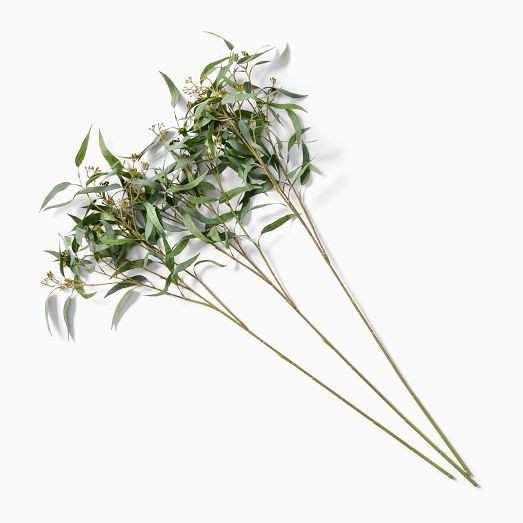 Faux Branchy Eucalyptus Branches (Set of 3) | West Elm (US)