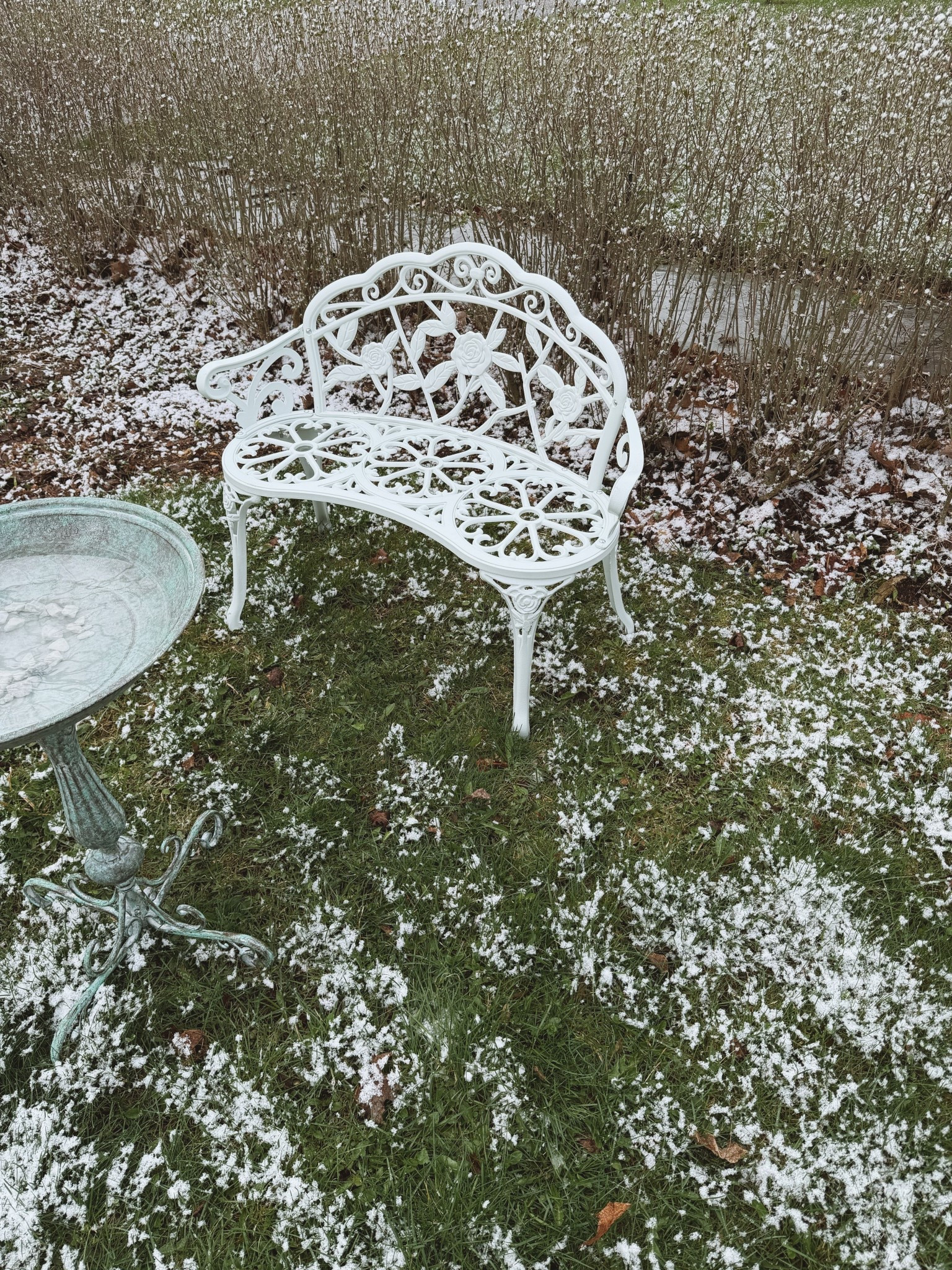 #ad Let’s just pretend the snow isn’t there and there are beautiful hydrangeas all around! #WishYouWereHere Excited to start a little garden for the birdies with finds from @Wayfair #wayfair #wayfairpartner 

#LTKHome #LTKSeasonal