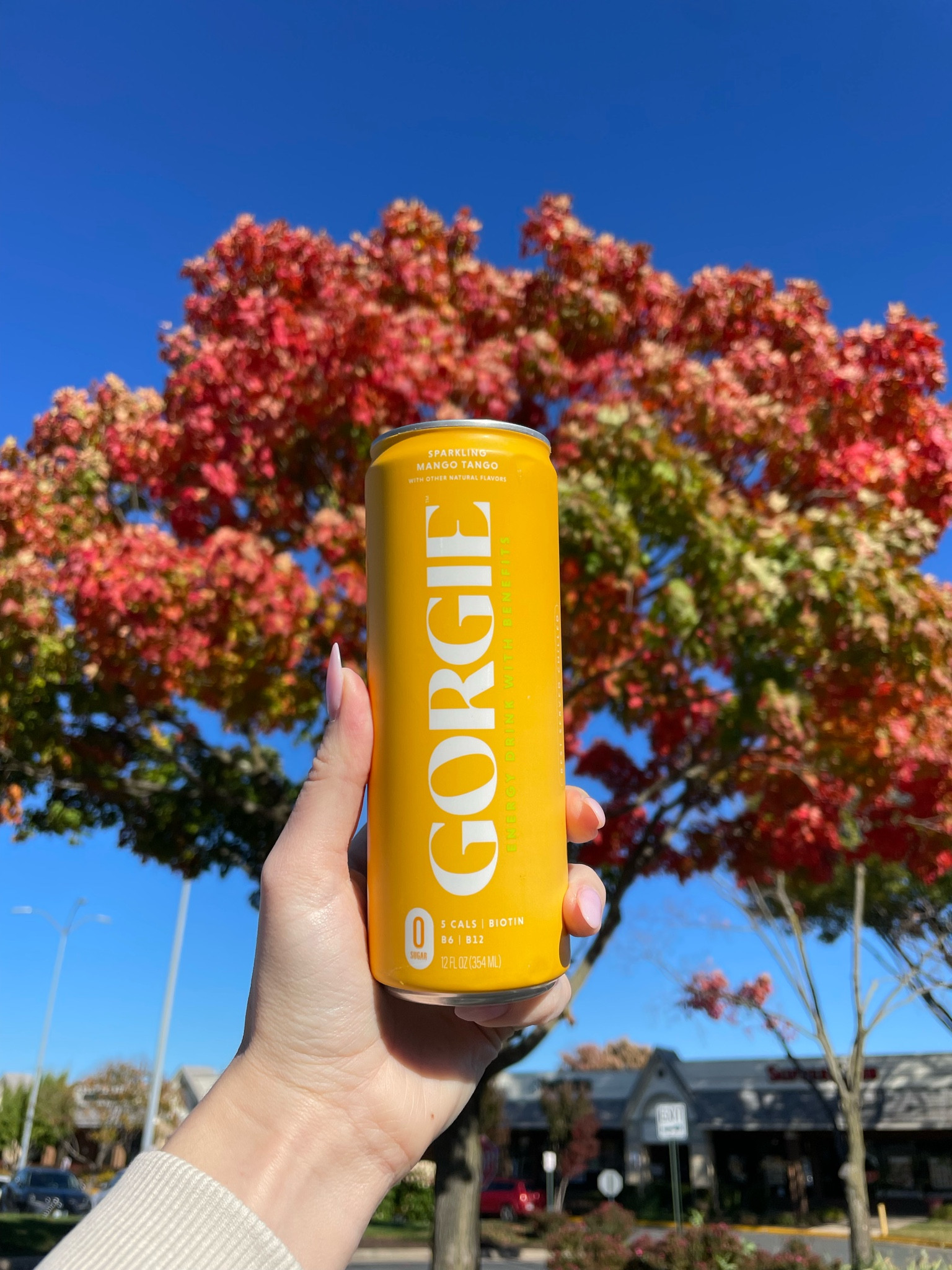 Energy for the road! 

By combining bold flavors with real benefits, we've created an energy drink that's equally good tasting AND good for you. All GORGIE flavors are formulated with better for you non-GMO ingredients, natural flavors, and without the nasties of other brands. Sip sip enjoy!

#LTKtravel #LTKfitness #LTKhome