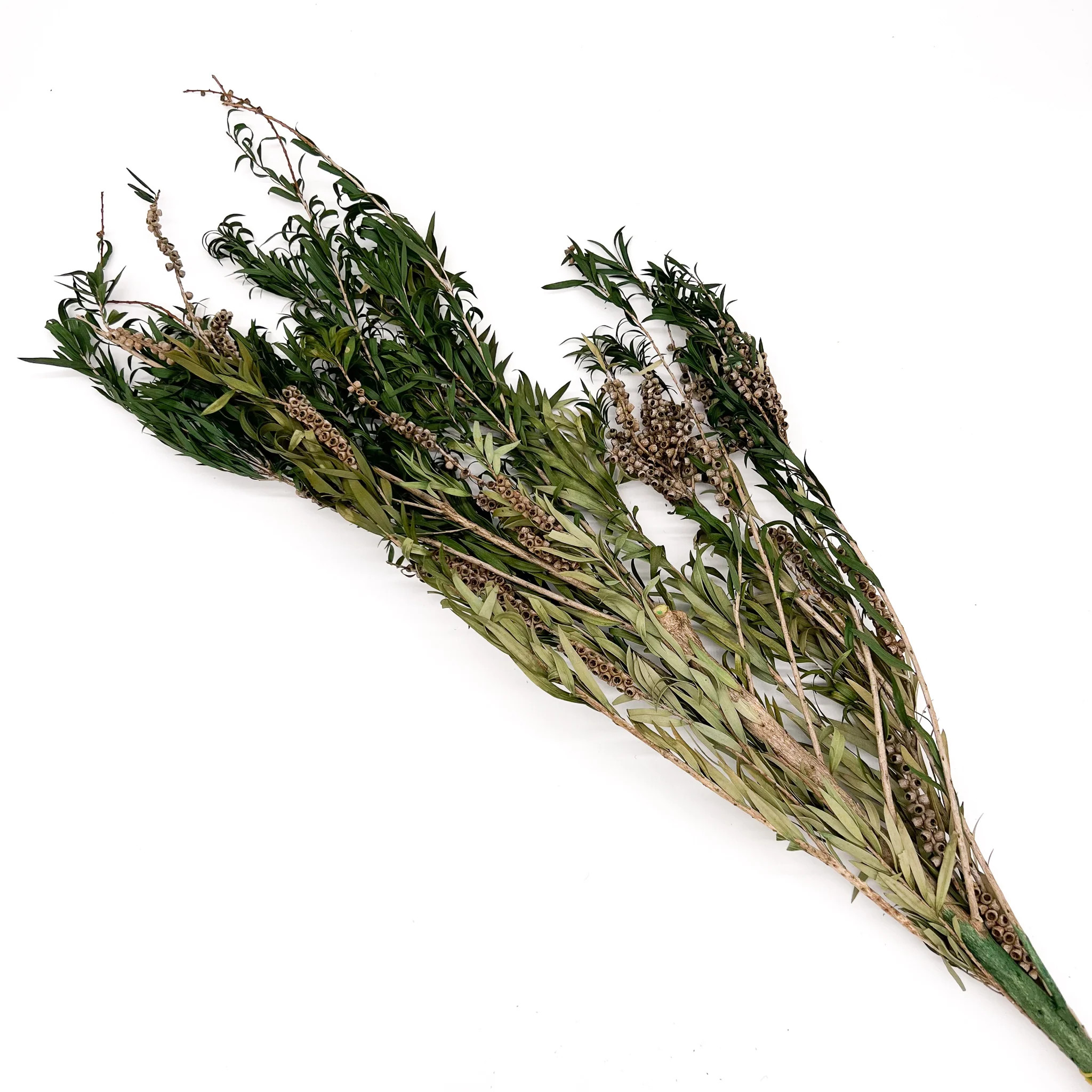 Preserved Buddha Beads | StyleMeGHD