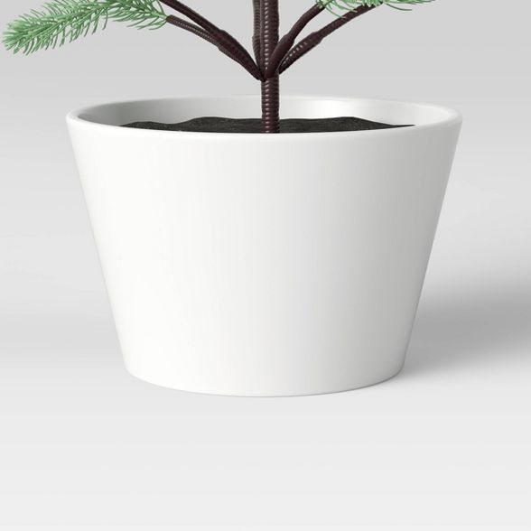 36" Blue Spruce Tree in a Pot - Threshold™ | Target
