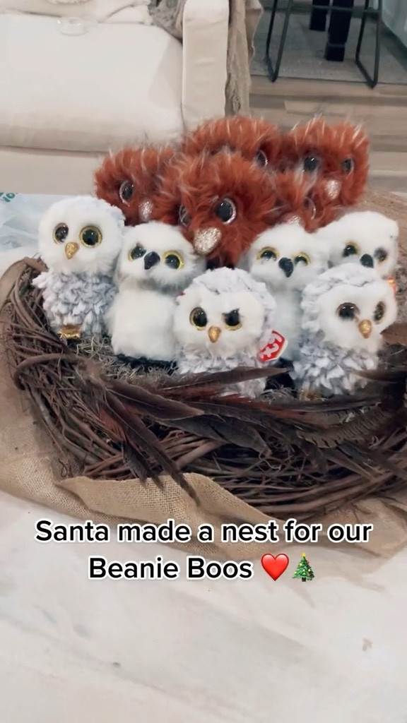 These TY Beanie Boos would be the perfect little Valentine’s Day gifts for your kiddos! My kids have Orson the Brown Ostrich, Owlette the White Owl & Austin the White Owl. Use code 23MIKDAILYUS for 20% off Beanie Boos at Michael’s!

#LTKGiftGuide #LTKSeasonal #LTKkids