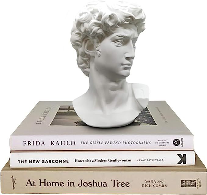 Greek Statue of David - Head Bust Statue for Roman Home Decor - Resin Sculpture | Amazon (US)