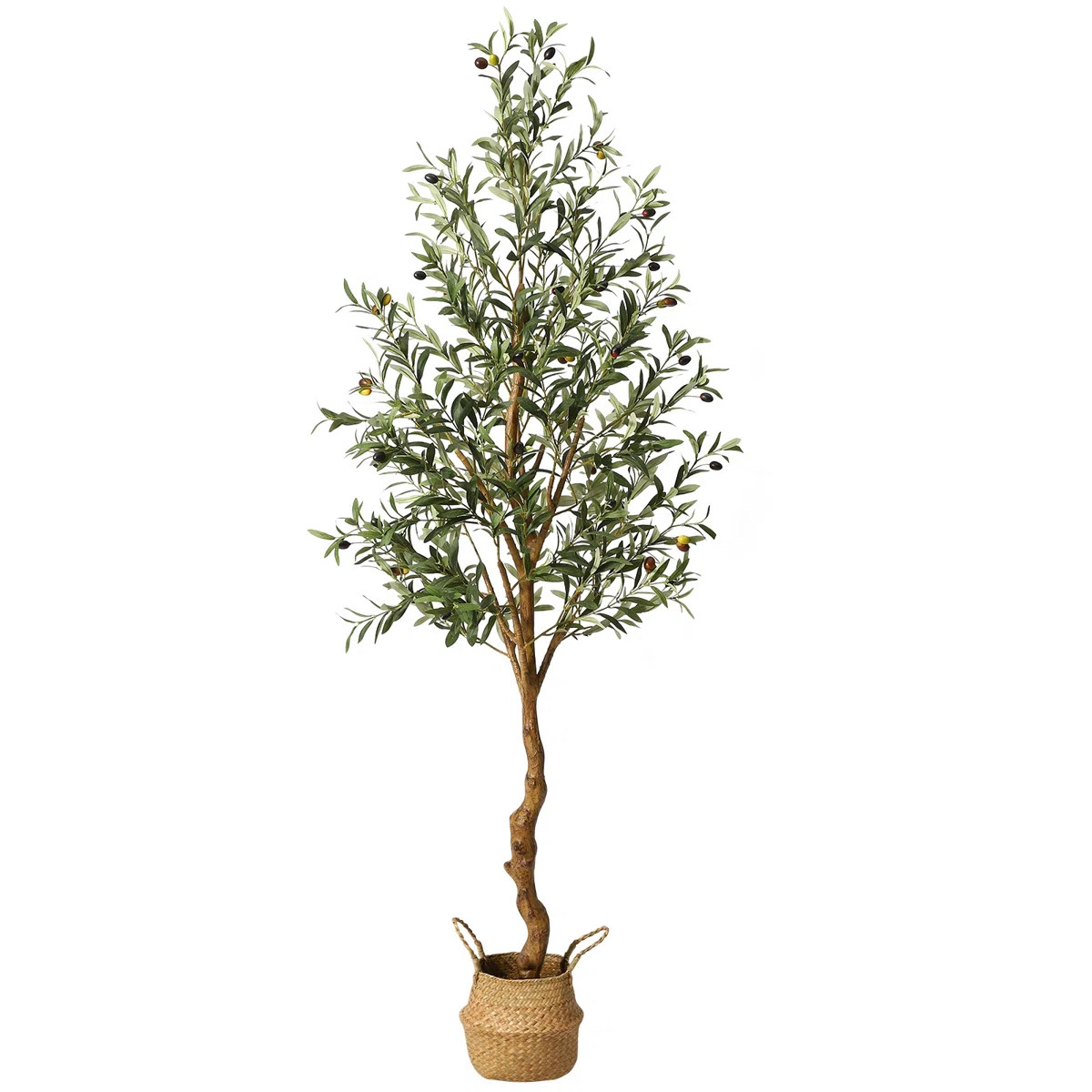 Primrue Artificial Olive Tree 6FT(72In) Tall Faux Silk Olive Trees & Reviews | Wayfair | Wayfair North America