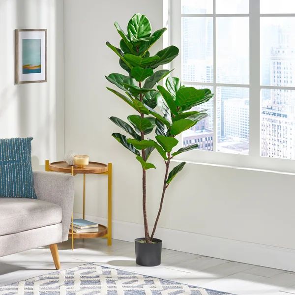 Achilles Artificial Fiddle-Leaf Fig Tree in Pot | Wayfair Professional