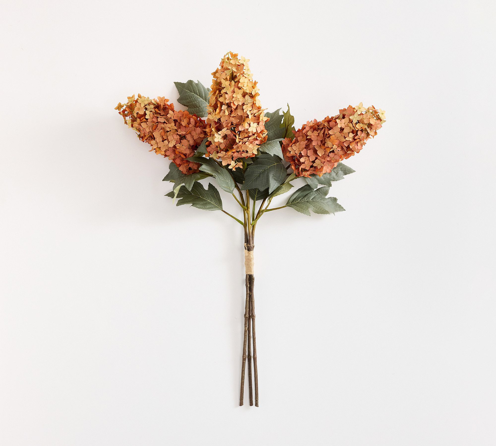 Faux Oversized Cone Hydrangea Bundle | Pottery Barn (US)