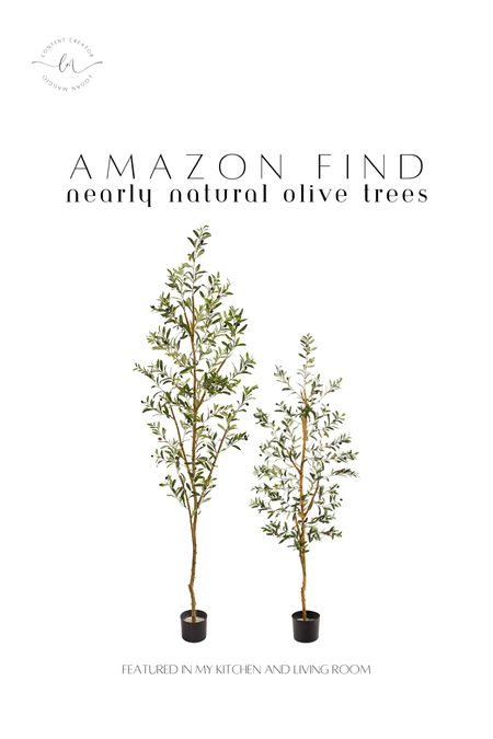 My forever favorite olive trees from Nearly Natural can be found on Amazon and are apart of Amazon Prime! 

#olivetree #amazonfind #nearlynatural

#LTKFind #LTKunder100 #LTKhome