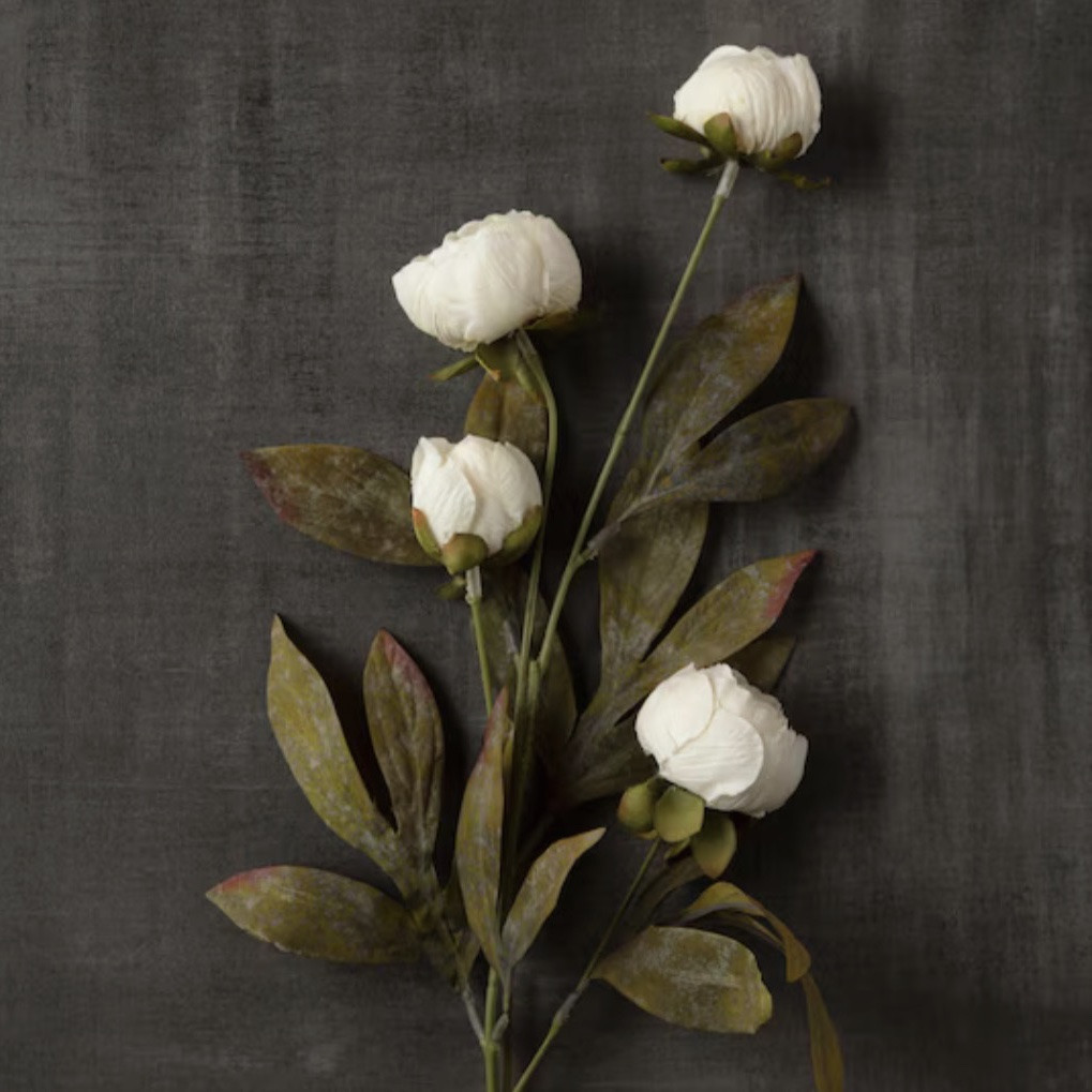 🚨 Cream peony stems in bulk are back in stock ‼️ If you’ve been eyeing them, now is the time. They don’t last long especially at this time of the day!

Viral Peony Stems | Florals | Greenery | Home Decor

#LTKHome #LTKSeasonal #LTKU