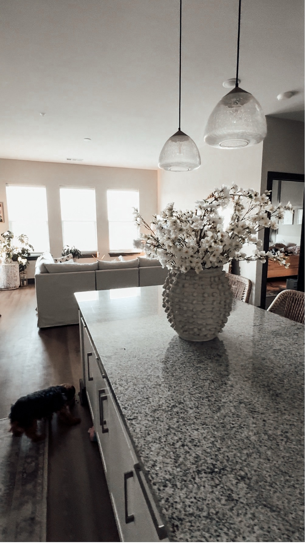 Faux Flowers Cherry Blossom Stems in Cream White

Spring florals



#LTKHome #LTKBeauty #LTKSeasonal