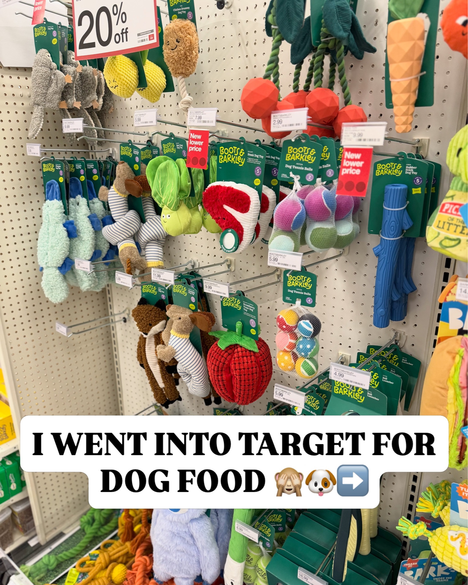 Say “SHOP” for these pet finds from Target 🎯✨

#targetfinds #targetpets #targetmom