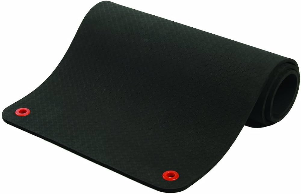 SPRI Hanging Exercise Mat, Fitness & Yoga Mat for Group Fitness Classes, Commercial Grade Quality... | Amazon (US)