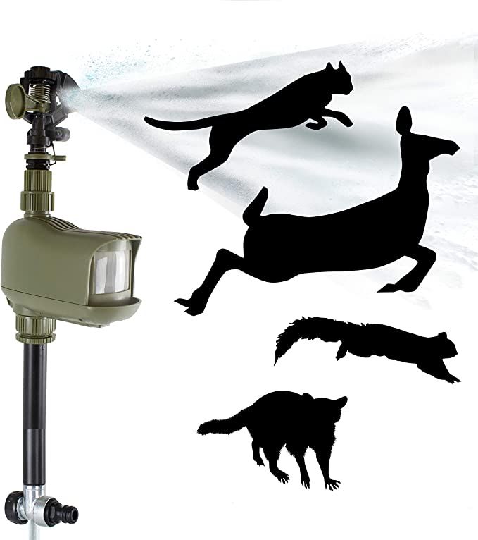 Havahart 5277 Critter Ridder Motion Activated Animal Repellent and Sprinkler - Repel Cats, Dogs, ... | Amazon (US)