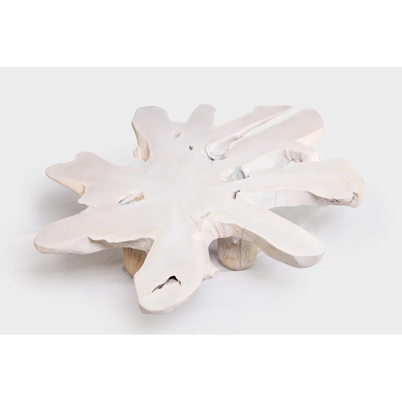 Solid Wood 3 Legs Coffee Table | Wayfair Professional