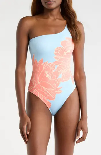 Hutch Placement Print One-Shoulder One-Piece Swimsuit | Nordstrom | Nordstrom