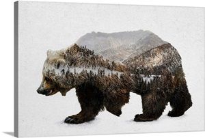 The Kodiak Brown Bear | Great Big Canvas - Dynamic