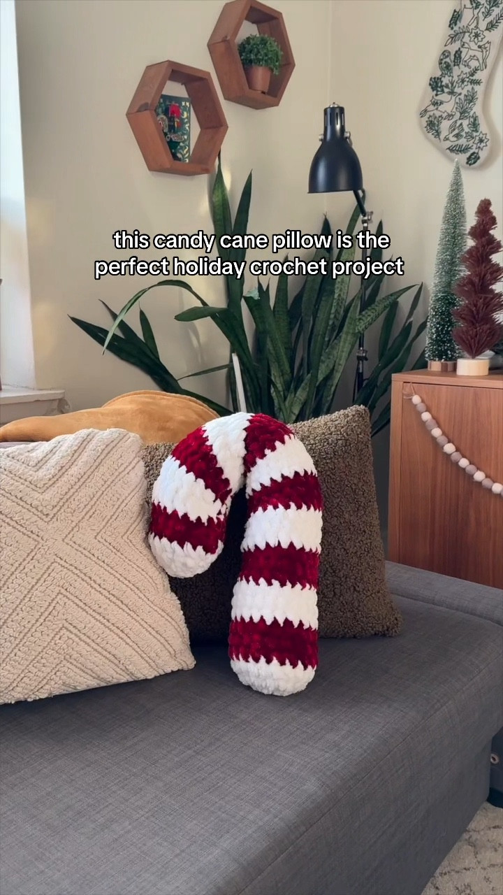 the crochet journey continues 🥹🙌

I followed this pattern by Just Be Crafty and adore how it turned out (she’s got a video on her YT channel walking through this pattern step by step). It’s so cute and I think the “royal velvet” yarn really added a special touch to this project

last year my “holiday project” was mini Santa hats for my crochet chickens, so I really feel like I was able to step it up this year 😎 ….I fear what I’ll get up to next year lol



#candycanepillow #holidaypillow #crochetpillow #crochetforbeginners #beginnercrochet 

#LTKSeasonal #LTKHoliday #LTKHome