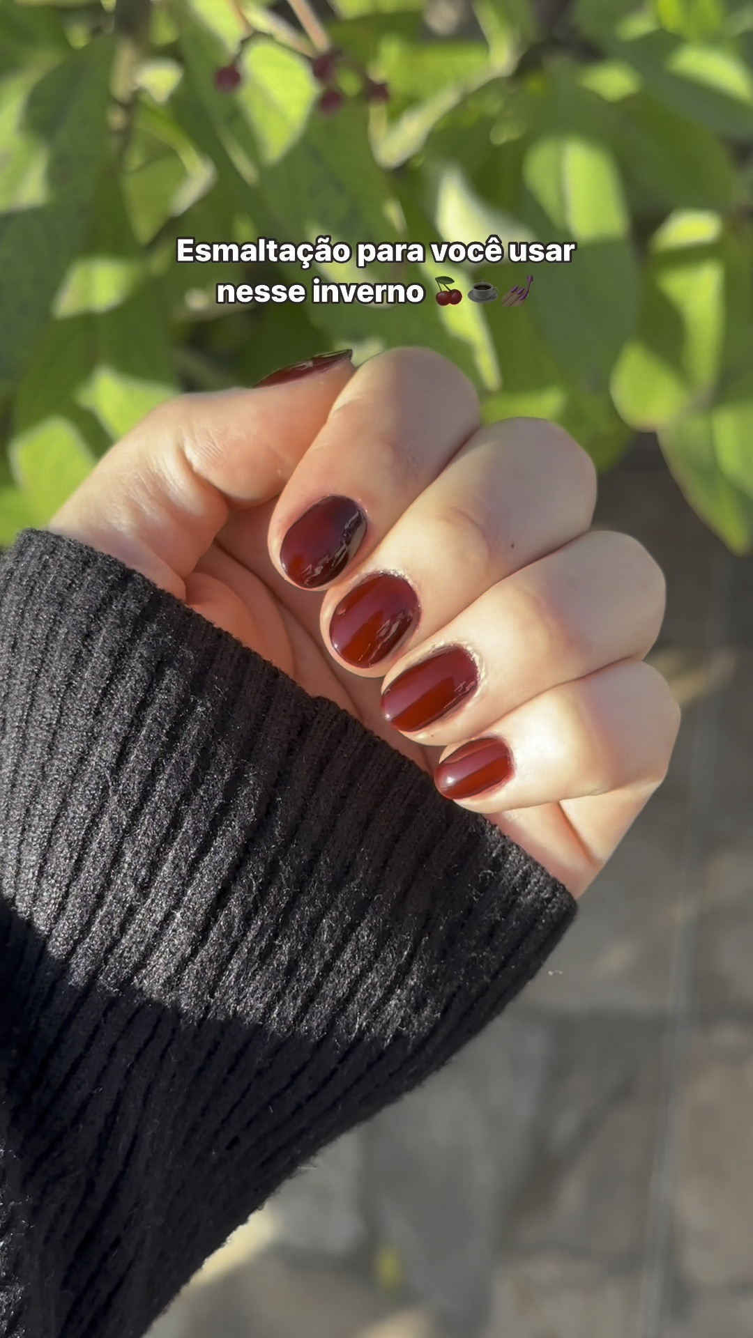 #LTKwinter #LTKbeauty #LTKbrasil