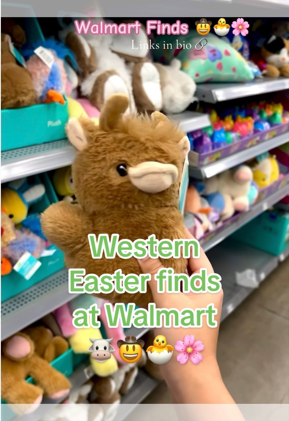 Walmart Western Easter finds 

#LTKSeasonal