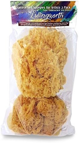 Natural Sea Sponges for Artists - Unbleached 5"-5.5" 2pc Value Pack: Great for Painting Decorating T | Amazon (US)