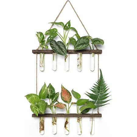 Plant Propagation Tubes 2 Tiered Wall Hanging Glass Planter with Wooden Stand Test Tube Flower Vase  | Walmart (US)