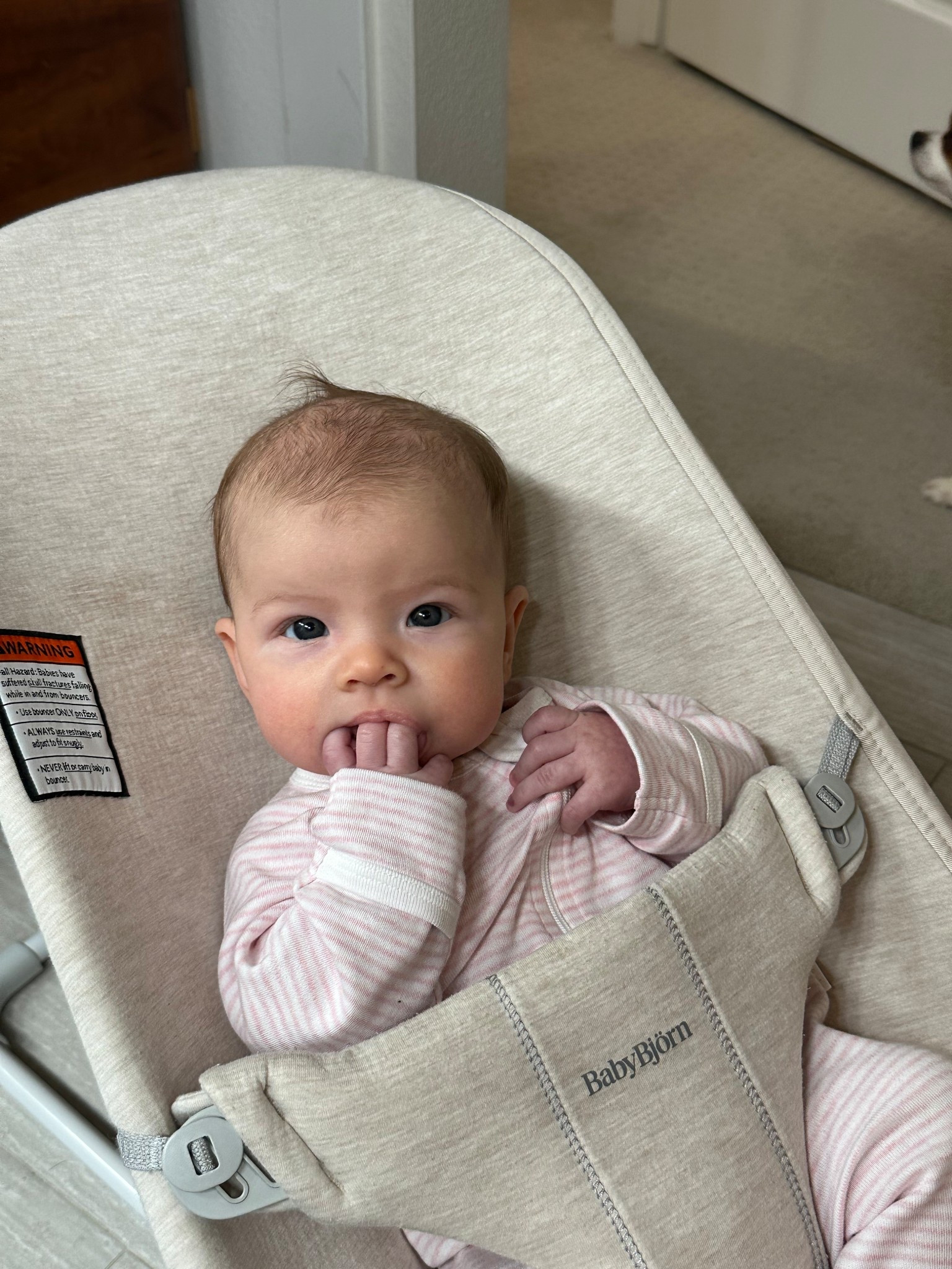 Baby bouncer 

#LTKBaby #LTKdayinmylife #LTKmomlife