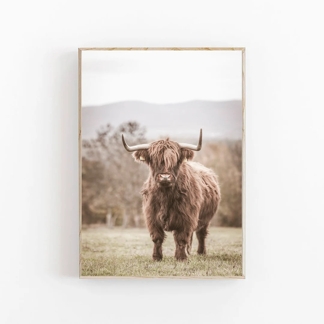 Highland Cow Print, Scottish Highland Cow, Farmhouse Decor, Printable Wall Art, Bull Photo, Digit... | Etsy (US)
