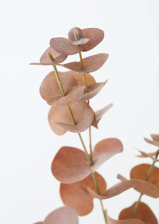 Terracotta Artificial Spiral Eucalyptus Leaves - 34 | Afloral (US)