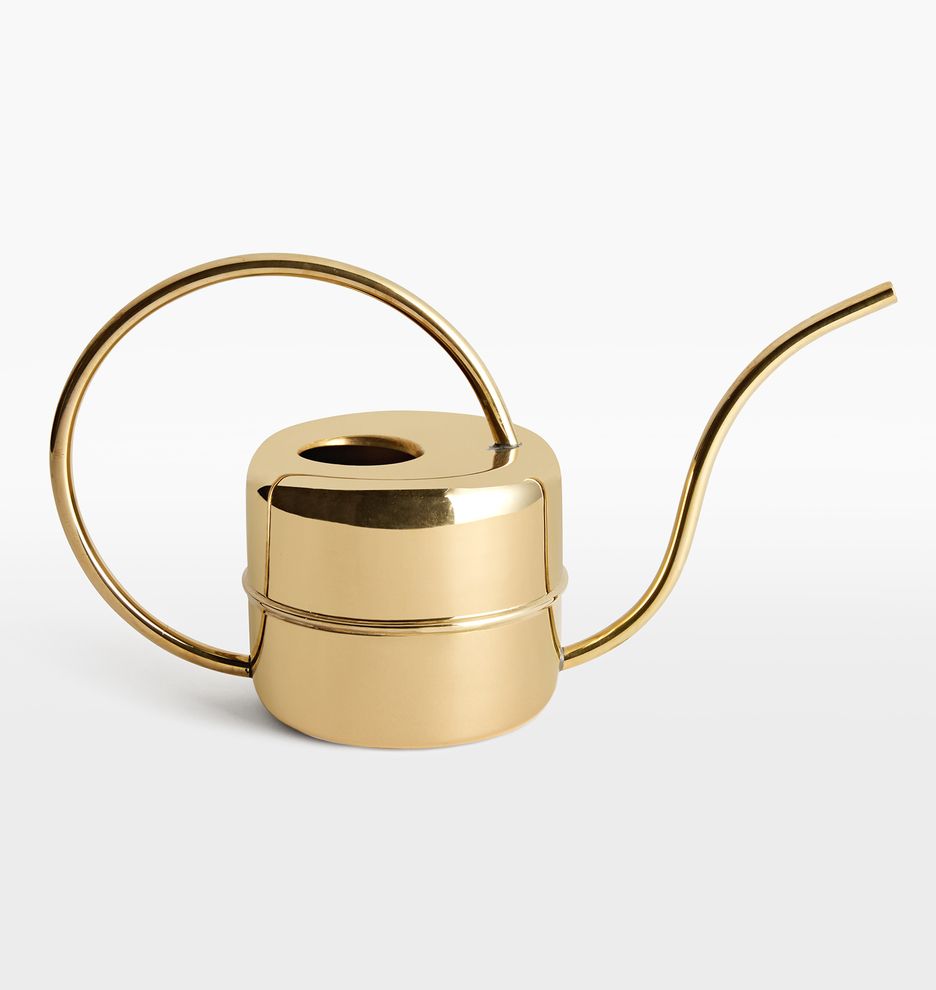 Brass Watering Can | Rejuvenation