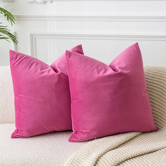 JUSPURBET Rose Red Velvet Throw Pillow Covers 20x20 inch Set of 2 for Living Room Couch Sofa Bedr... | Amazon (US)