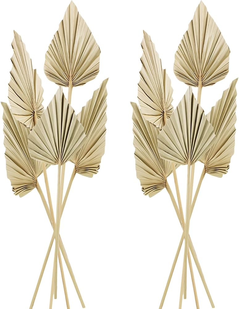 Chenkaiyang 10 Pcs Boho Dried Palm Spears Leaves Bulk, Small Natural Dried Real Palm Fans,Dried Palm | Amazon (US)