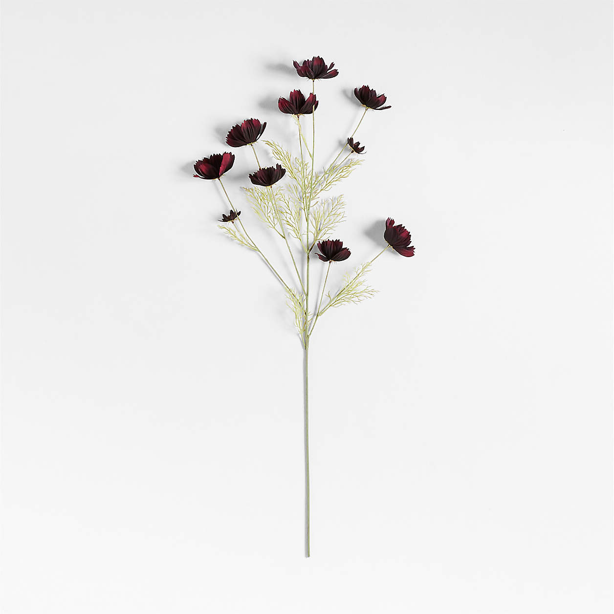 Faux Burgundy Cosmo Stem 35" by Abigail Ahern + Reviews | Crate & Barrel | Crate & Barrel