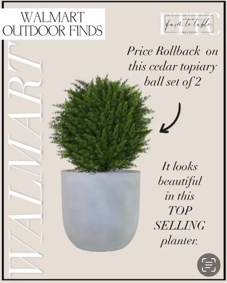 Price Rollback on this set of 2 topiary balls.  Follow @farmtotablecreations on Instagram for more inspiration. Walmart Finds. Outdoor Plants. Outdoor Topiaries. Planter. Outdoor Planter. Walmart Home Finds. Better Homes & Gardens  

#LTKFind #LTKsalealert #LTKunder50